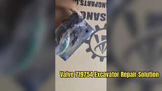 Valvola 719754