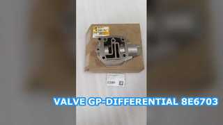 VALVOLA GP-DIFFERENZIALE 8E6703