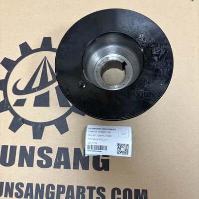 Excavator Engine Parts Pulley 129916-21620